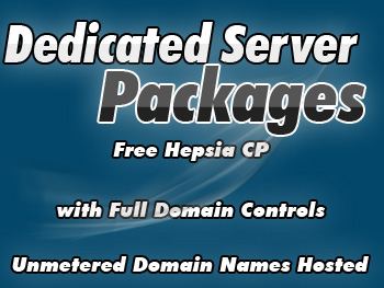 Cheap dedicated hosting service